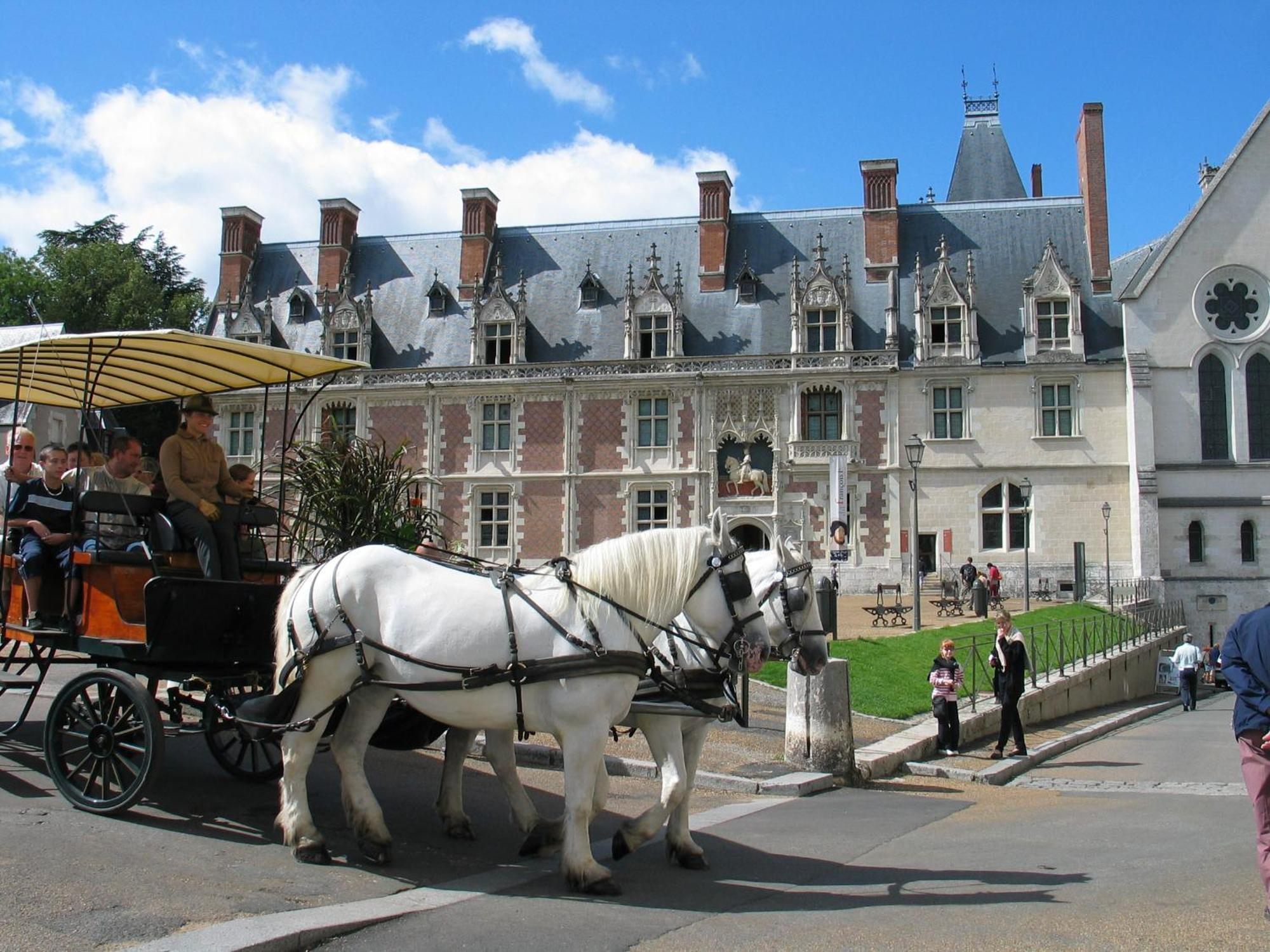 Blois City - Le Petit Saint Jean Exterior photo